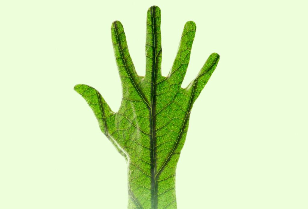 1136_reconnecter-nature-transformation-ecologique Philo-arts-sciences Au fil du temps : s’interroger sur l'origine et les sciences du vivant promeut l’apprentissage, la curiosité, l’appréciation de la nature et la compréhension de l’ environnement